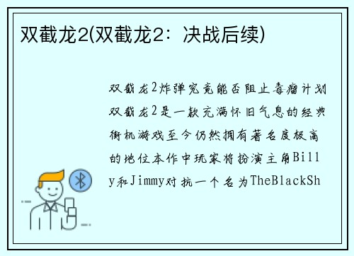 双截龙2(双截龙2：决战后续)
